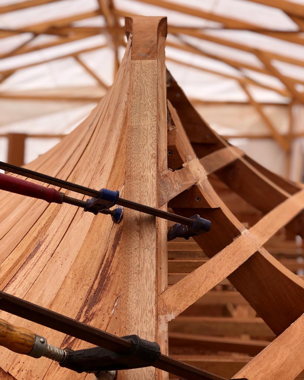 First planking layers clamped to the bow